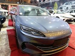 بي واي دي سيل 06 DM-i